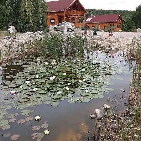 Apartamento Rózsapark Panoráma-apartman - Maximum 4 Fő Részére Demjén