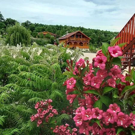 Rózsapark Panoráma-apartman - Maximum 4 Fő Részére * Demjén