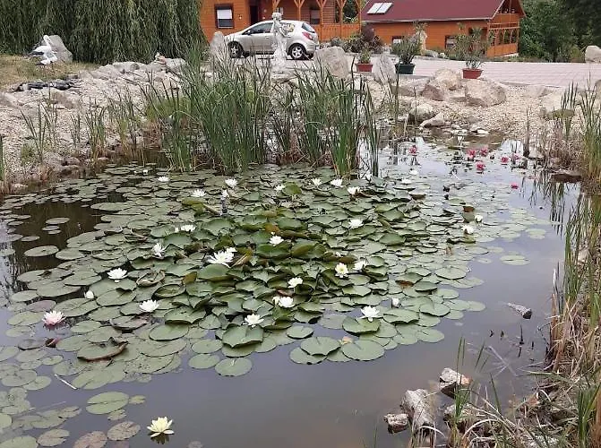 Lägenhet Rozsapark Panorama-apartman - Maximum 4 Fo Reszere Demjén