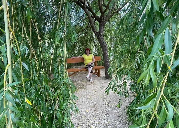 Rozsapark Panorama-apartman - Maximum 4 Fo Reszere Lägenhet *