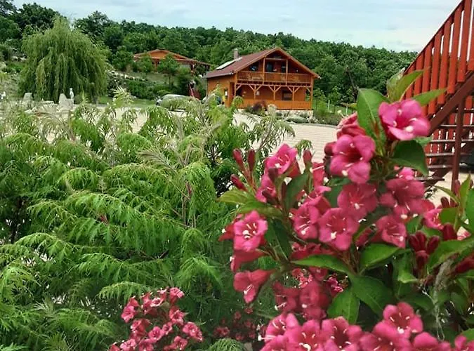 Rozsapark Panorama-apartman - Maximum 4 Fo Reszere * Demjén